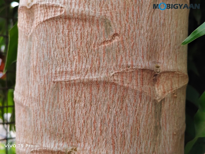 vivo T5 Pro 5G Review Cameras Samples 10