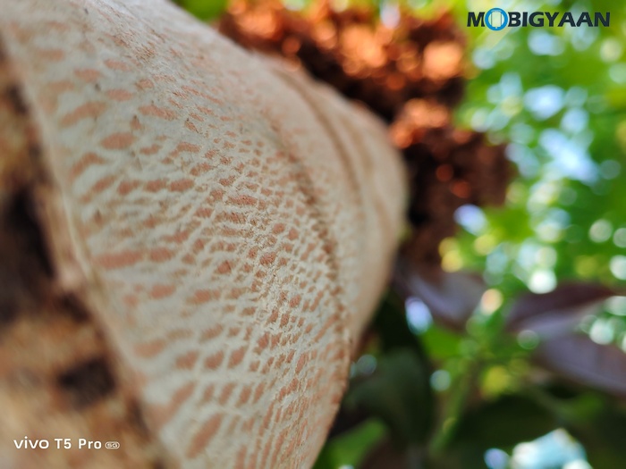 vivo T5 Pro 5G Review Cameras Samples 11