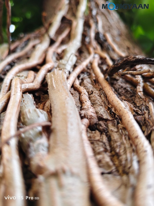 vivo T5 Pro 5G Review Cameras Samples 15