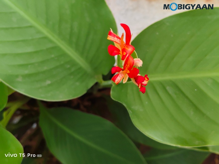 vivo T5 Pro 5G Review Cameras Samples 16