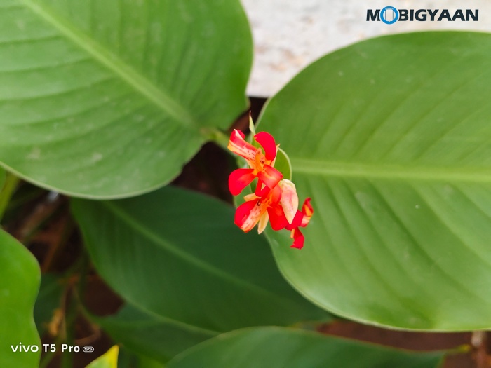 vivo T5 Pro 5G Review Cameras Samples 17