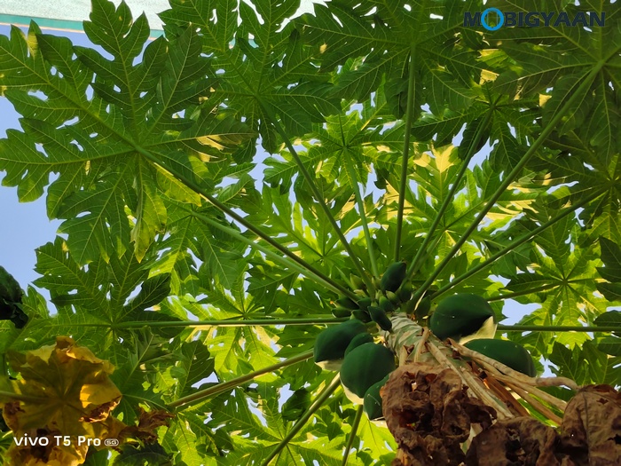 vivo T5 Pro 5G Review Cameras Samples 2