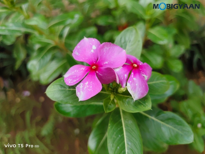 vivo T5 Pro 5G Review Cameras Samples 3
