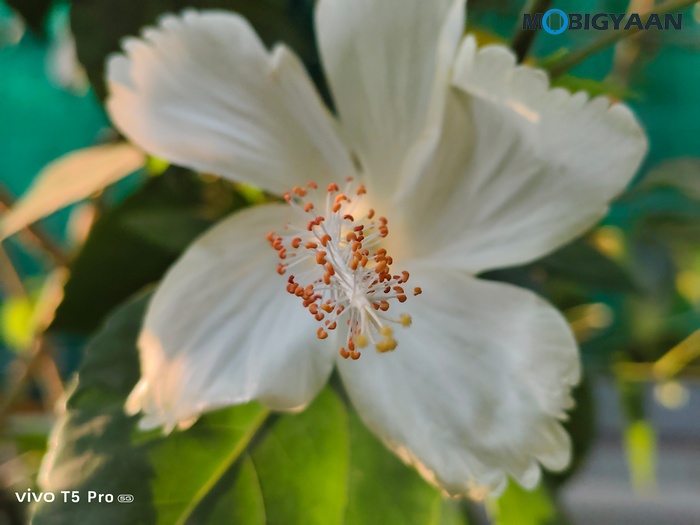 vivo T5 Pro 5G Review Cameras Samples 6