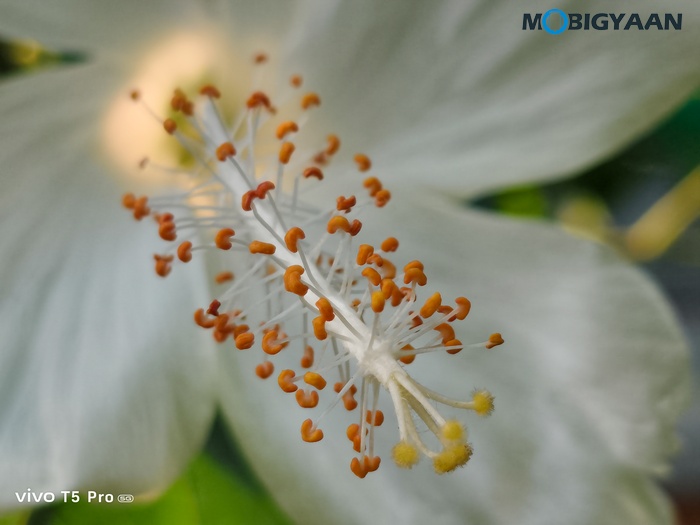 vivo T5 Pro 5G Review Cameras Samples 7