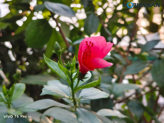 vivo T5 Pro 5G Review Cameras Samples 8