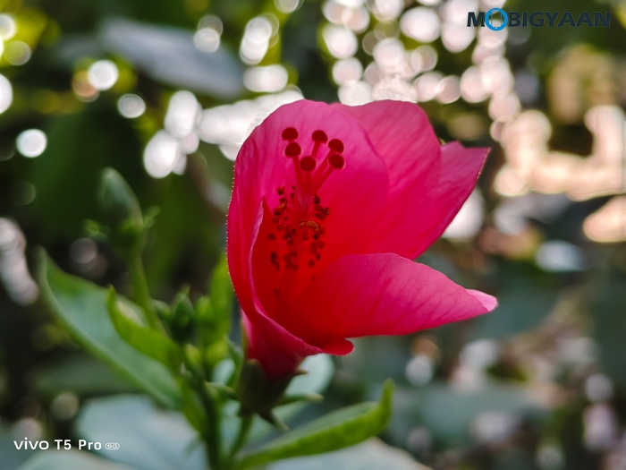 vivo T5 Pro 5G Review Cameras Samples 9