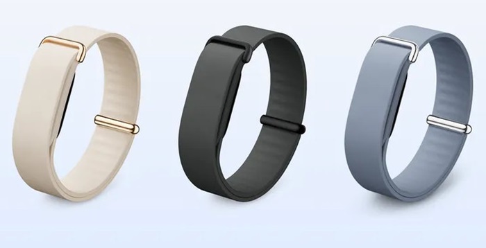 Fitbit Air Elevated Loop