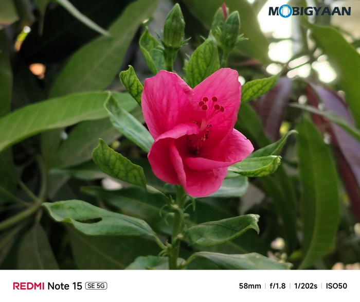 REDMI Note 15 SE 5G Review Camera Samples 1