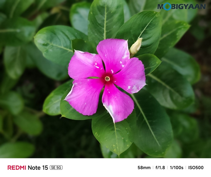 REDMI Note 15 SE 5G Review Camera Samples 10