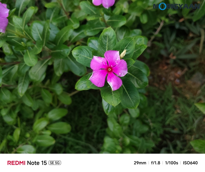 REDMI Note 15 SE 5G Review Camera Samples 11