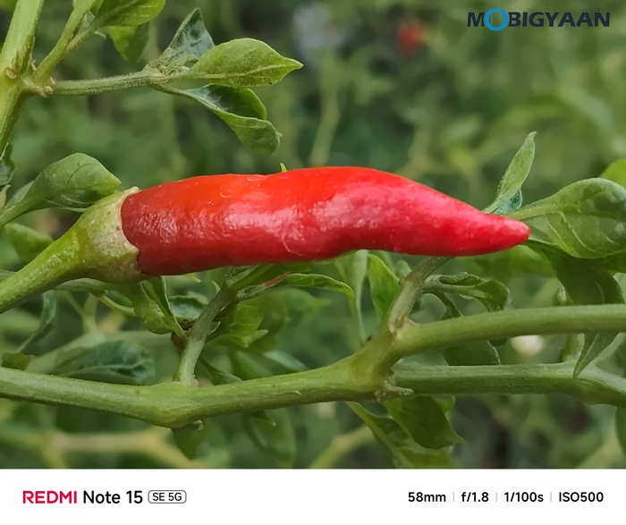 REDMI Note 15 SE 5G Review Camera Samples 12