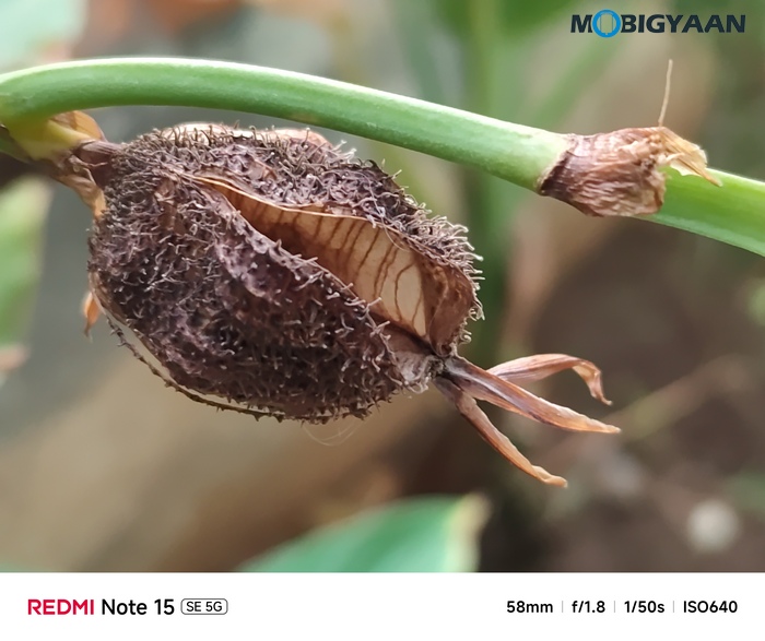 REDMI Note 15 SE 5G Review Camera Samples 2