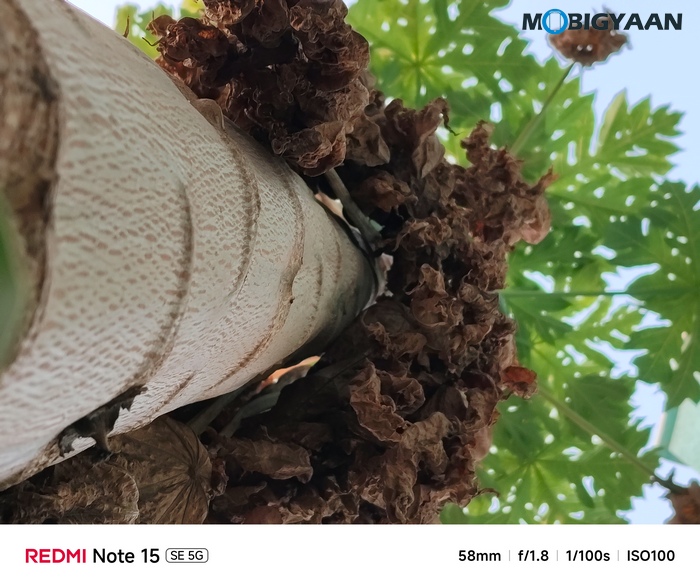 REDMI Note 15 SE 5G Review Camera Samples 6