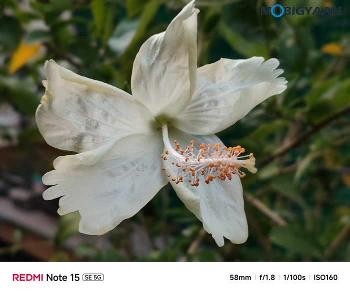 REDMI Note 15 SE 5G Review Camera Samples 7