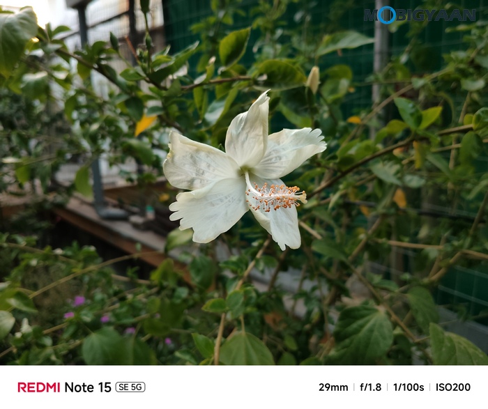 REDMI Note 15 SE 5G Review Camera Samples 8