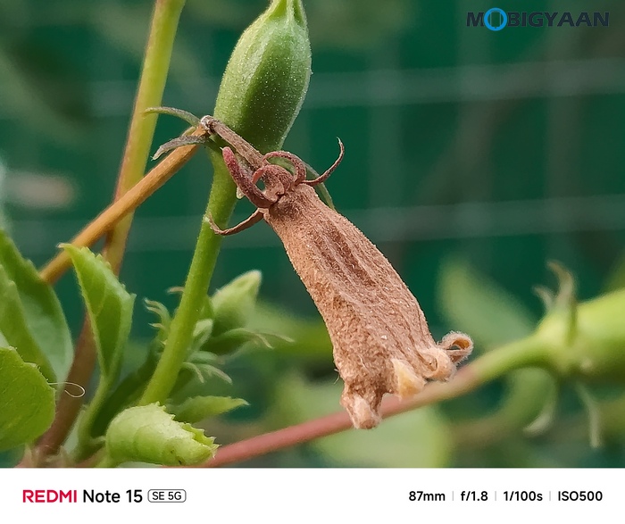 REDMI Note 15 SE 5G Review Camera Samples 9