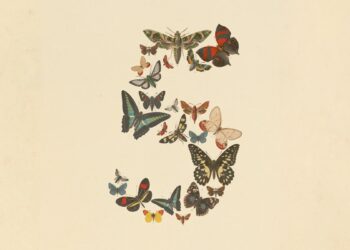 Anthropic Claude Fable 5, Anthropic Claude Mythos 5