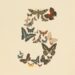 Anthropic launches Claude Fable 5 and Claude Mythos 5 with advanced reasoning, vision, and memory 4 Anthropic Claude Fable 5, Anthropic Claude Mythos 5