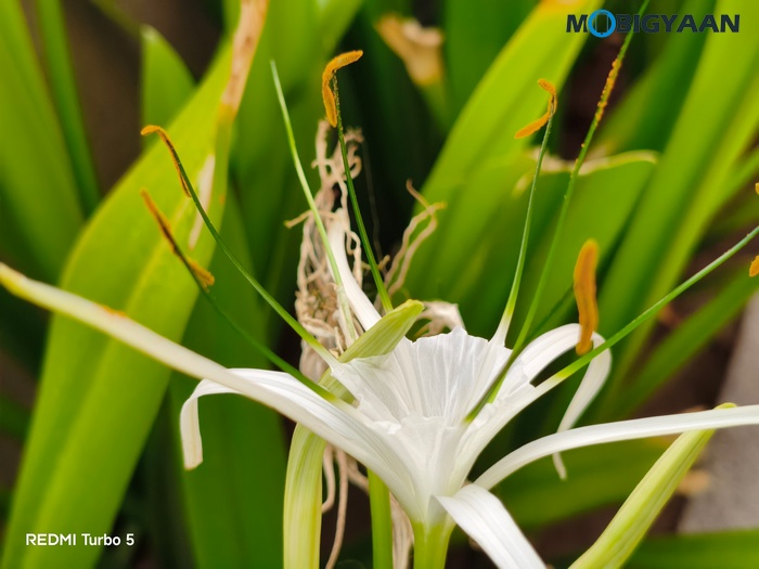 REDMI Turbo 5 Review Cameras Samples 15