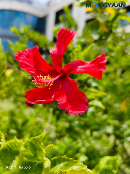 REDMI Turbo 5 Review Cameras Samples 29