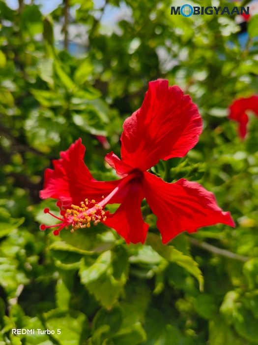 REDMI Turbo 5 Review Cameras Samples 30