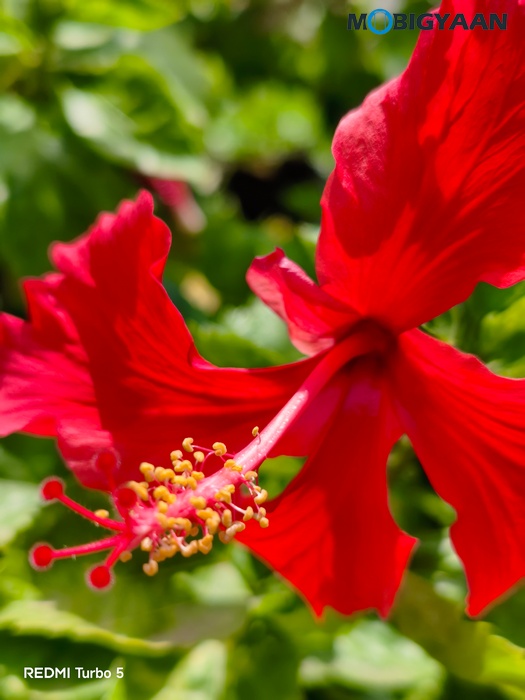 REDMI Turbo 5 Review Cameras Samples 31