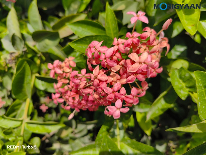 REDMI Turbo 5 Review Cameras Samples 33