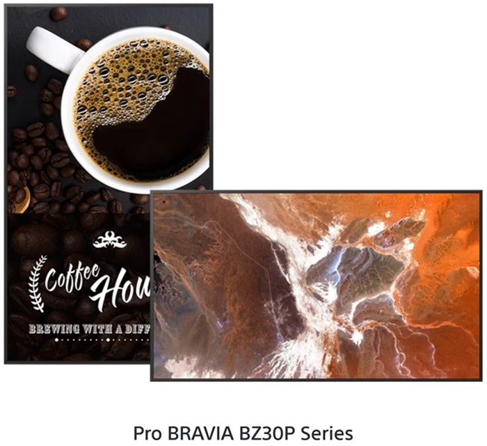 Sony BRAVIA BZ-P Series - BZ30P