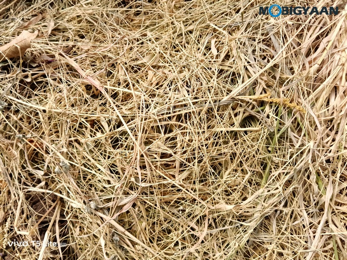 vivo T5 Lite 44W 5G Review Camera Samples 14