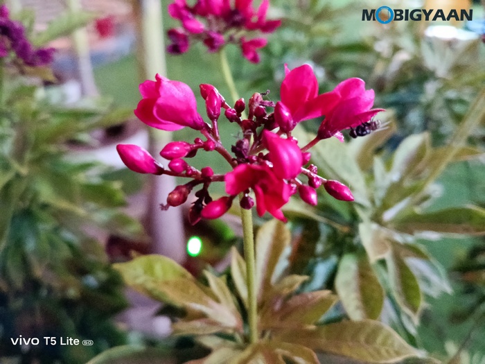 vivo T5 Lite 44W 5G Review Camera Samples 4