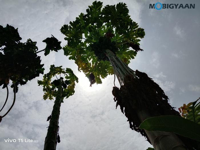 vivo T5 Lite 44W 5G Review Camera Samples 7