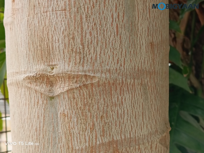 vivo T5 Lite 44W 5G Review Camera Samples 9