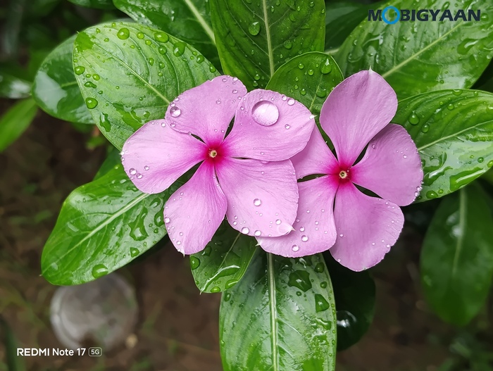 REDMI Note 17 5G Review Design Display Cameras Build Quality 12 1