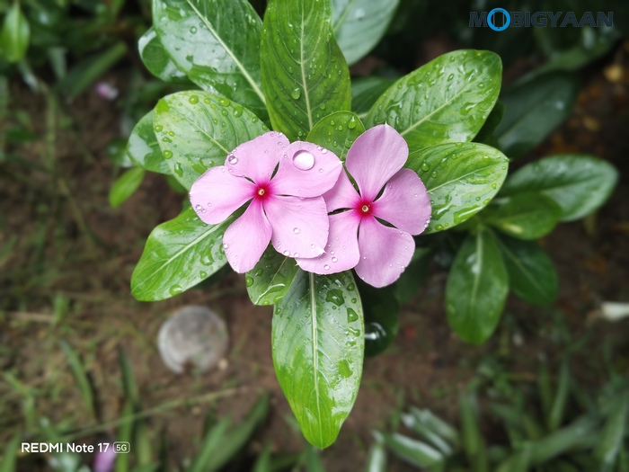 REDMI Note 17 5G Review Design Display Cameras Build Quality 13 1