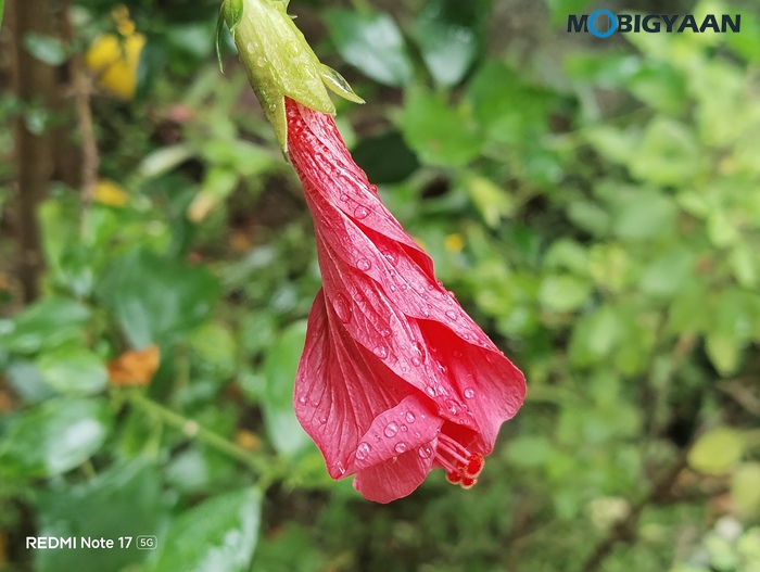 REDMI Note 17 5G Review Design Display Cameras Build Quality 14 1