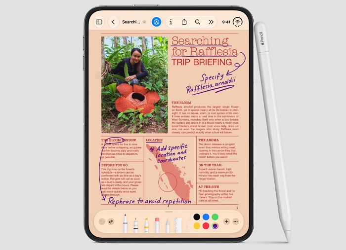 Apple iPhone Duo Apple Pencil
