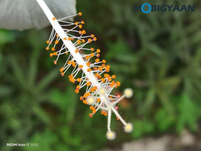 REDMI Note 17 Pro 5G Review Camera Samples 11
