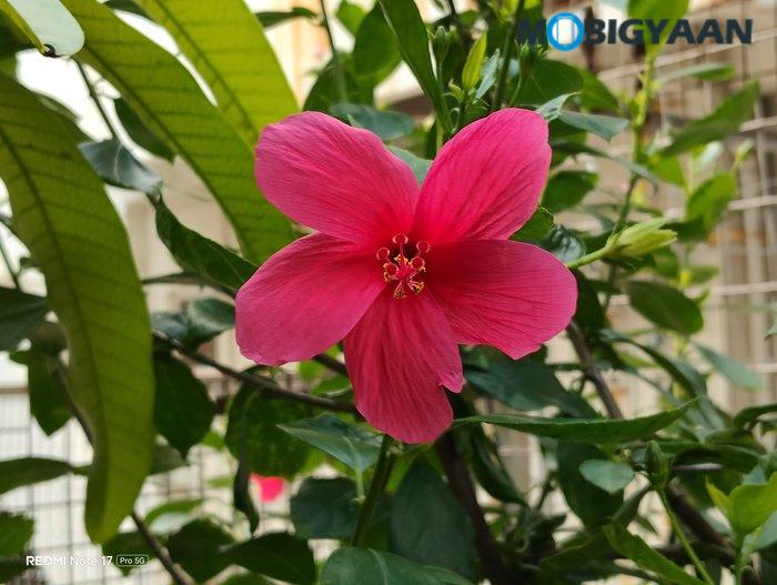 REDMI Note 17 Pro 5G Review Camera Samples 14