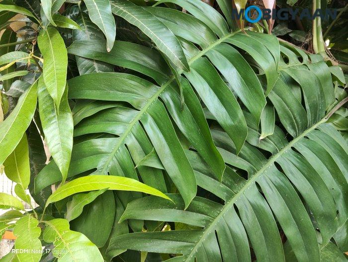 REDMI Note 17 Pro 5G Review Camera Samples 15
