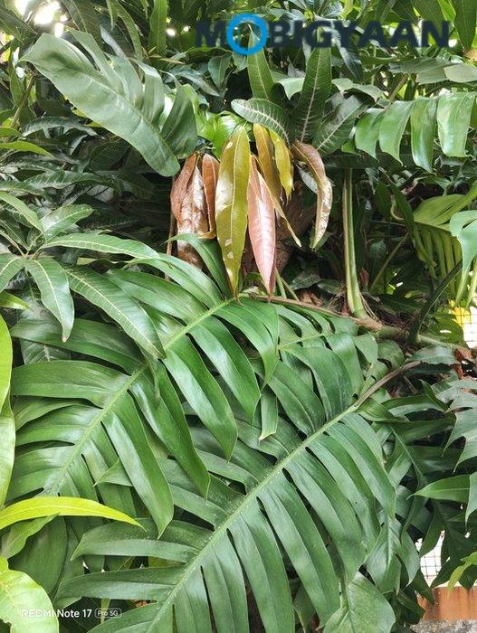 REDMI Note 17 Pro 5G Review Camera Samples 16