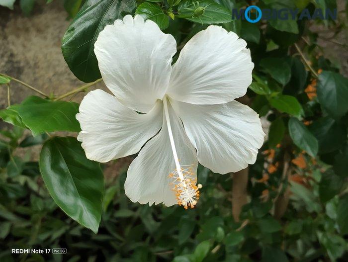 REDMI Note 17 Pro 5G Review Camera Samples 9