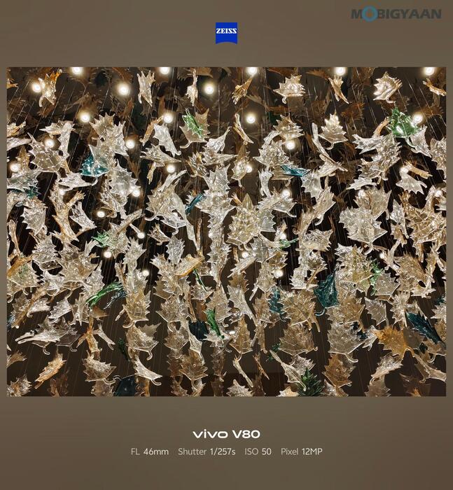vivo V80 Review Camera Samples 13 1