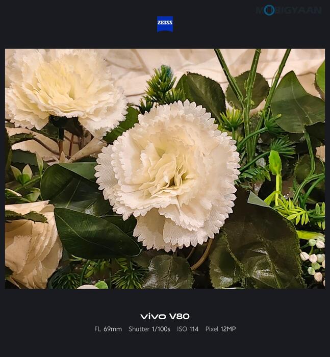 vivo V80 Review Camera Samples 21 1