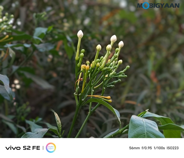 vivo S2 FE Review Camera Samples 11