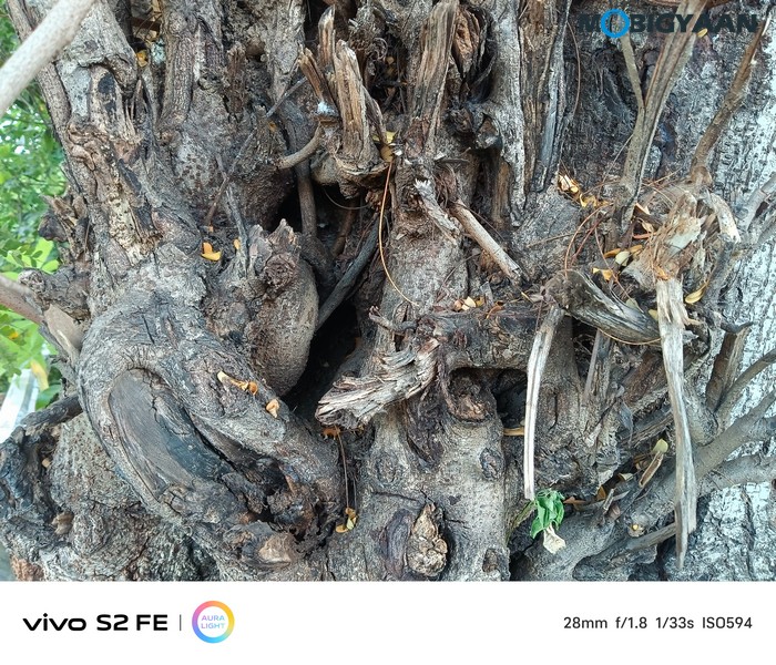 vivo S2 FE Review Camera Samples 12