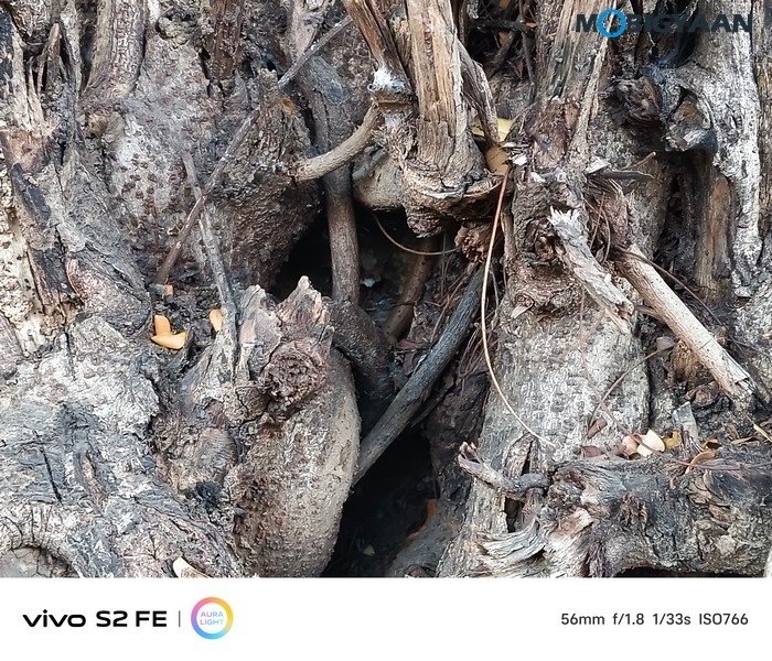 vivo S2 FE Review Camera Samples 14