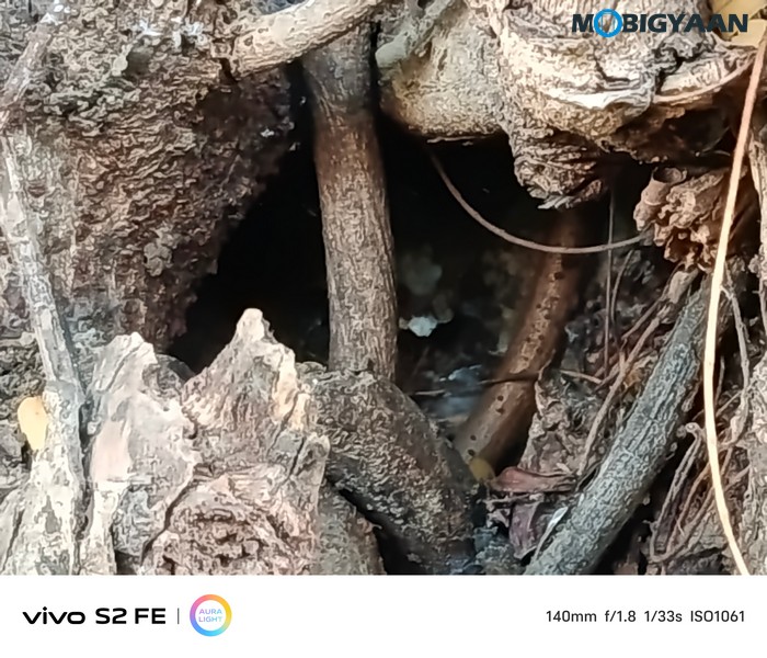 vivo S2 FE Review Camera Samples 15