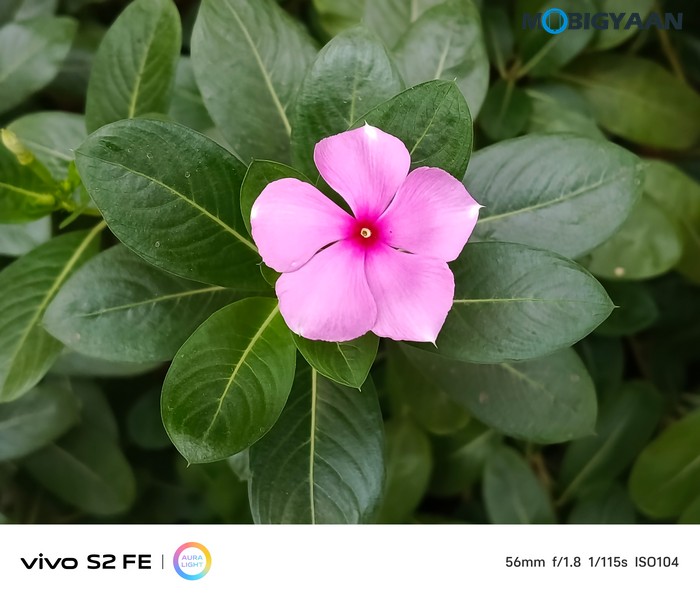 vivo S2 FE Review Camera Samples 2
