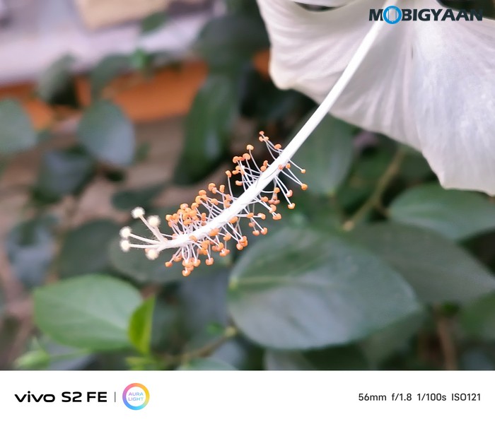 vivo S2 FE Review Camera Samples 3